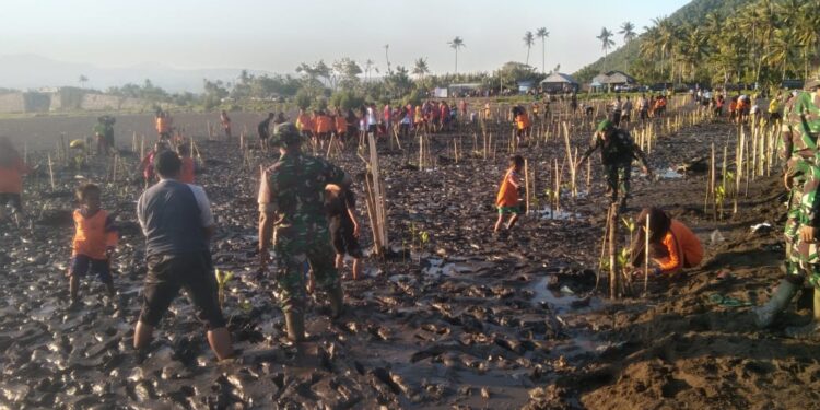 📷 Gabungan anggota TNI, Polri, Pemkab Dompu, dan Pramuka menanam bibit mangrove di pesisir pantai Soro. (Am).